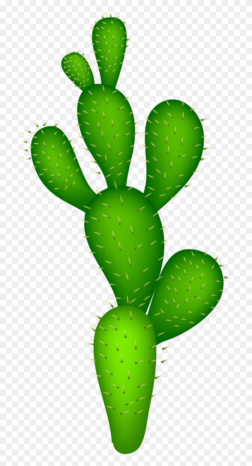 Cactaceae Clip Art - Cactus Vector Png #331084