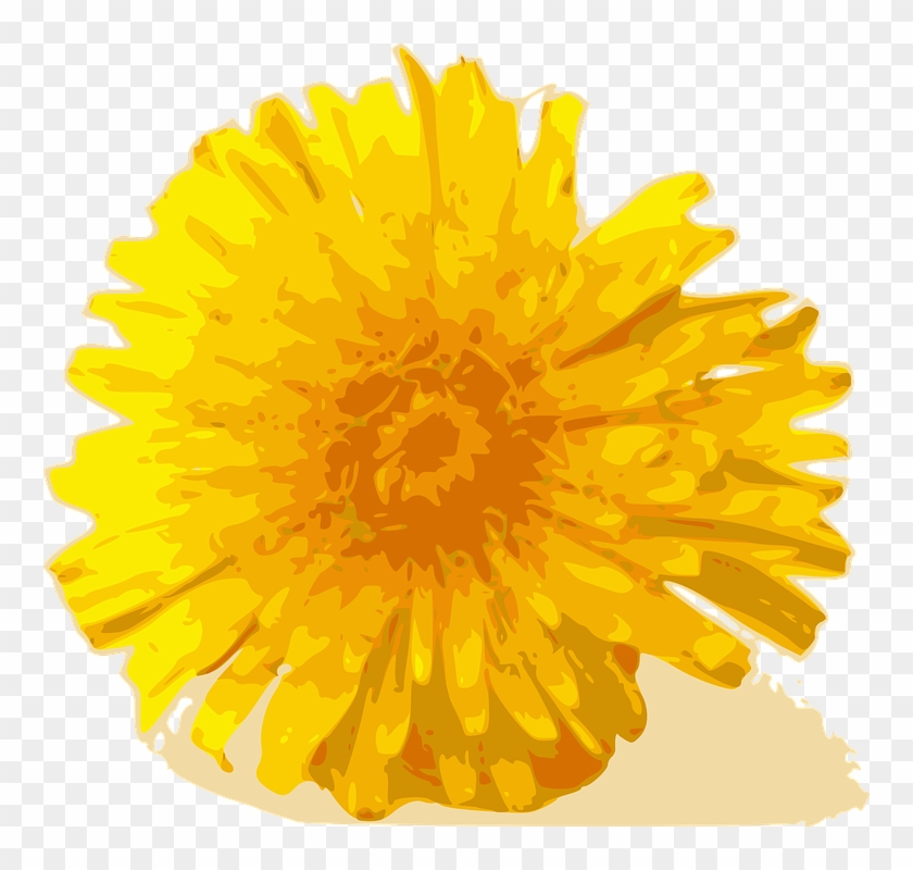 Dandelion Cliparts 7, - Yellow Chrysanthemum Flower Png #331136