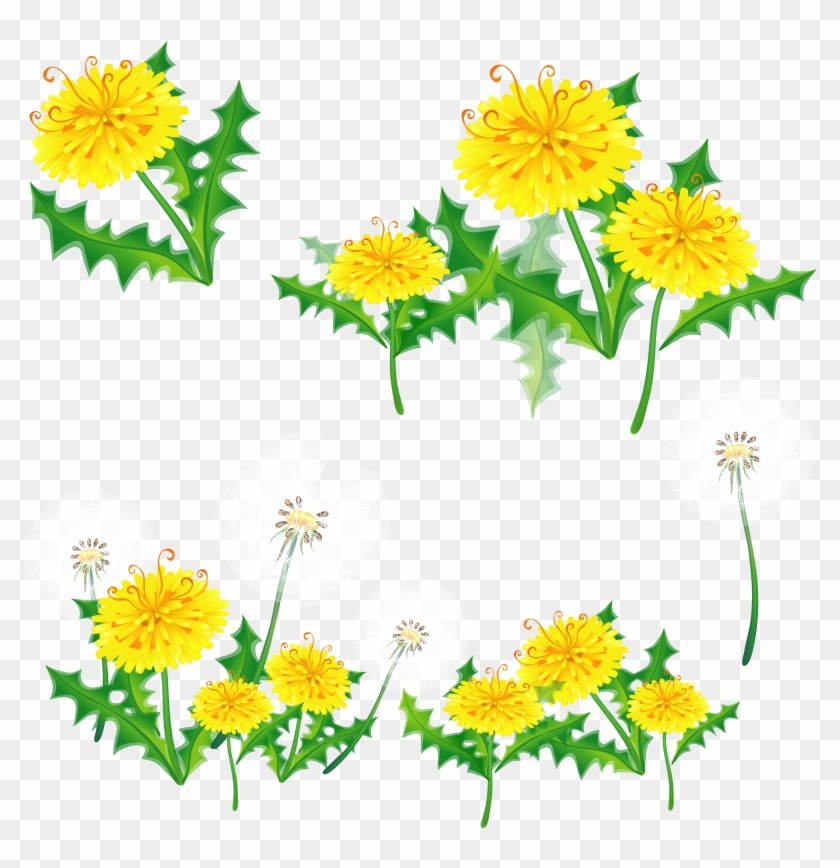 Dandelions Png - Мать И Мачеха Вектор Png #331229