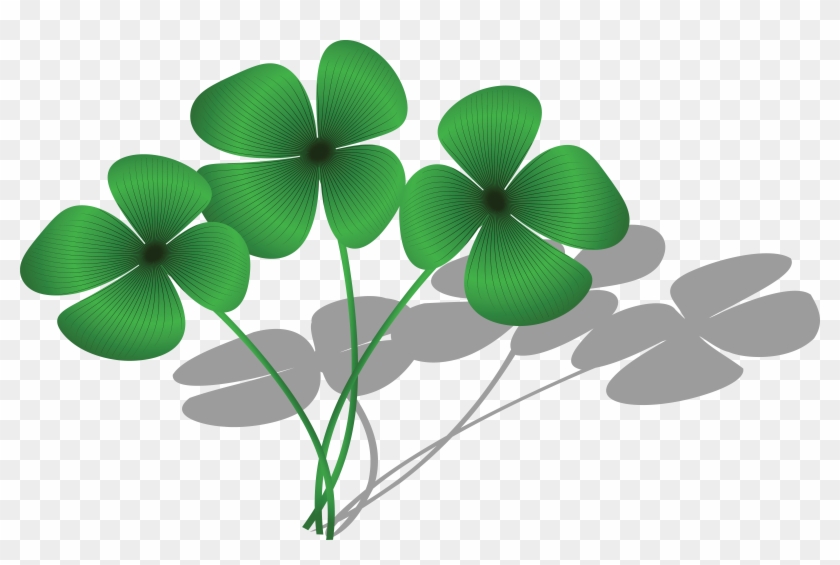Free Clipart Of A Trio Of Four Leaf Clovers And Shadows - Four Leaf Clover Group #331276