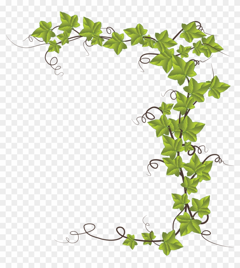 Free Clipart Of An Ivy Border - Monkeyshine Wine Mr. Right And Mrs. Always Right 15 #331284