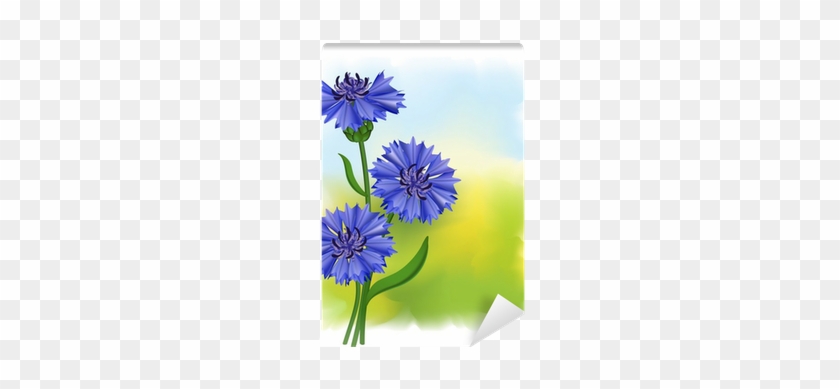 Flowers Blue Cornflower - Cornflower #331319