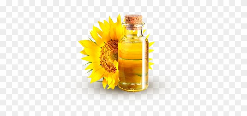 Sunflower Oil Png Image With Transparent Background - Sunflower Baby Massage Oil #331334