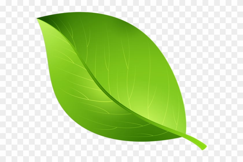 Green Leaf Transparent Png Clip Art Image - Leaf Clipart Transparent Background #331340