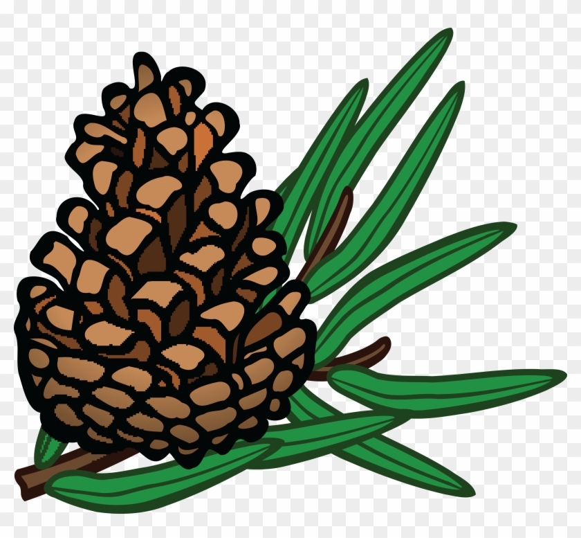 Free Clipart Of A Pinecone - Pine Cone Pine Clipart #331383