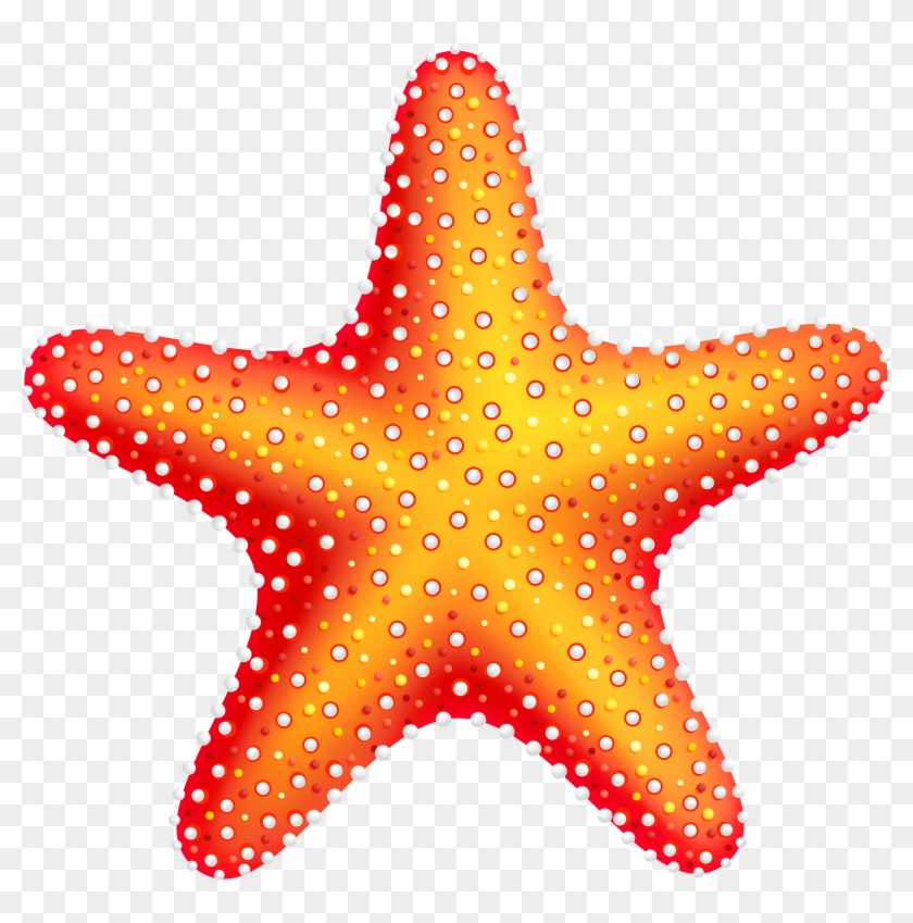 Starfish Png Clip Art - Clip Art Starfish #331421