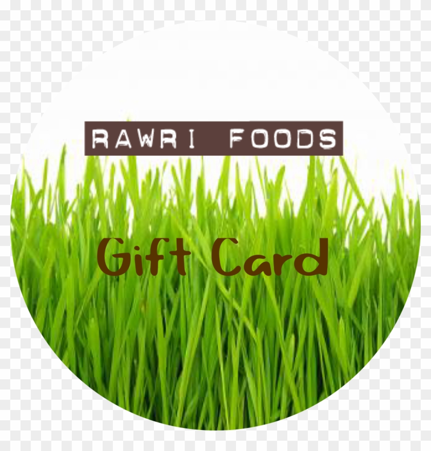 Gift Card #331402