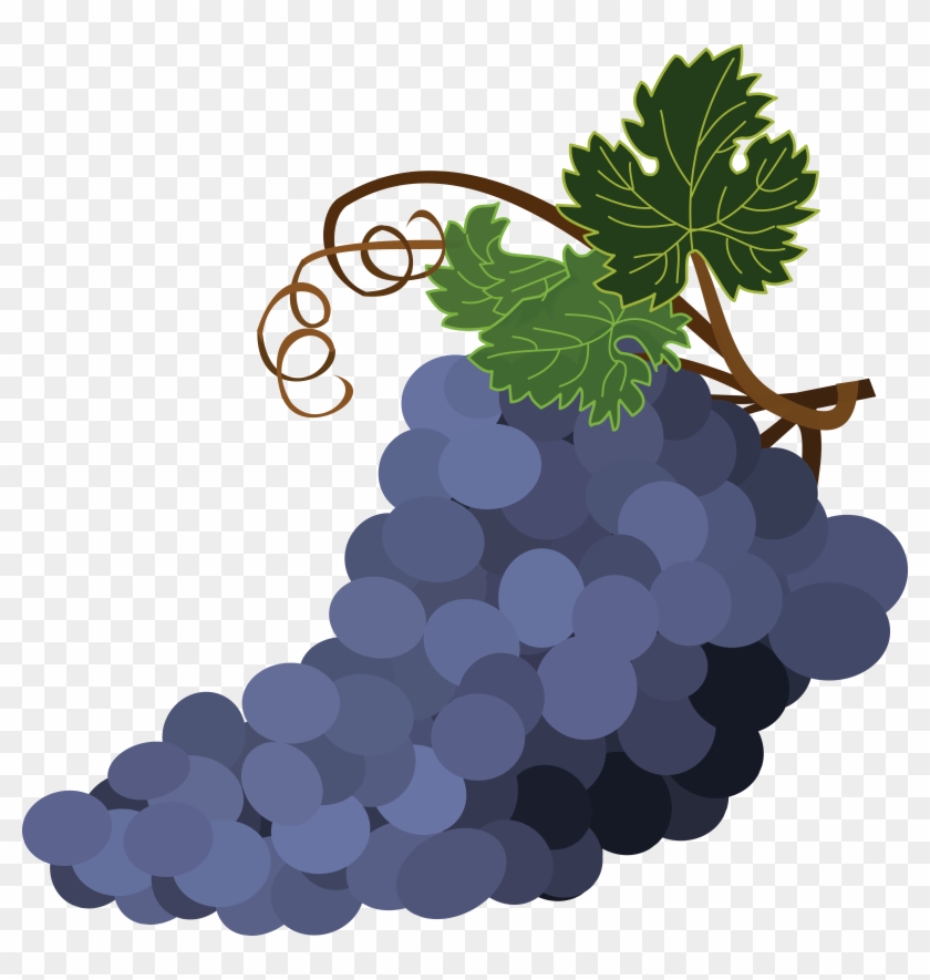 Free Clipart Of Grapes - Grap3s Clipart #331438