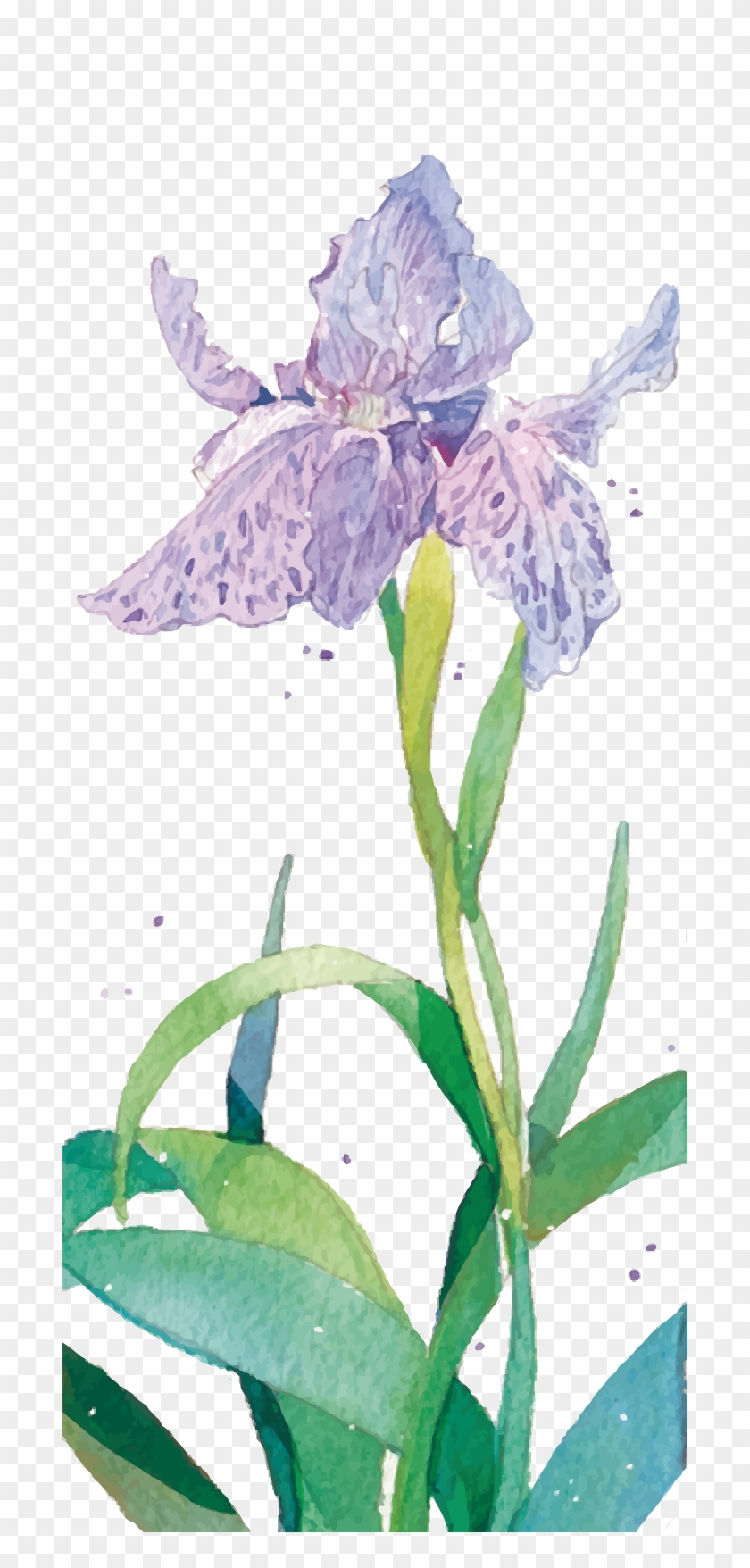 Purple Watercolor Painting Flower - Purple Watercolor Painting Flower #331516