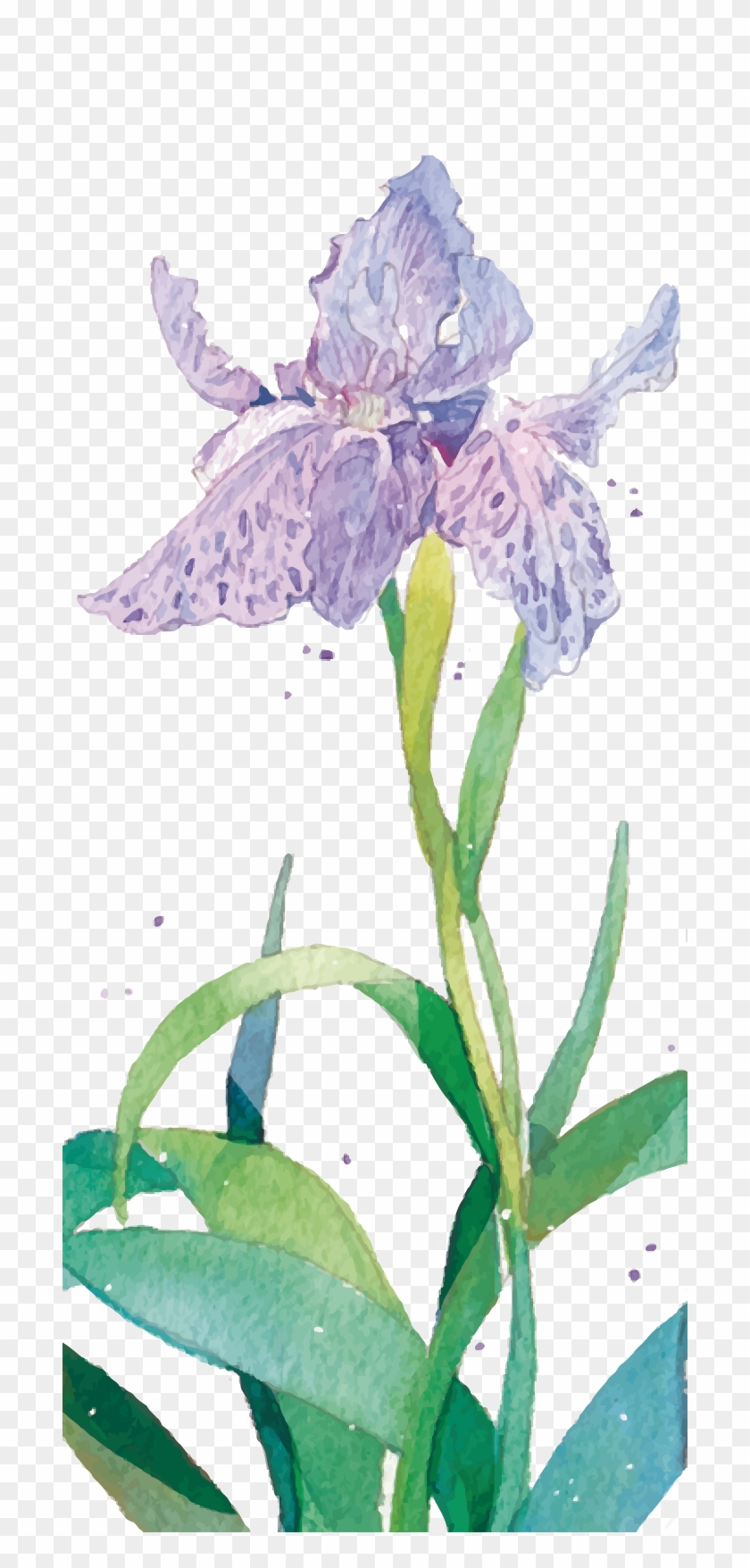 Purple Watercolor Painting Flower - Purple Watercolor Painting Flower #331516
