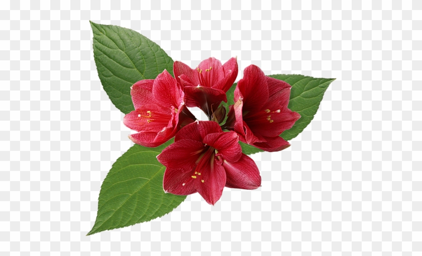 Güzel Romantik Kırmızı Çiçekler , Yeni Romantik Yapraklı - Happy Birthday - With Words Card #331489