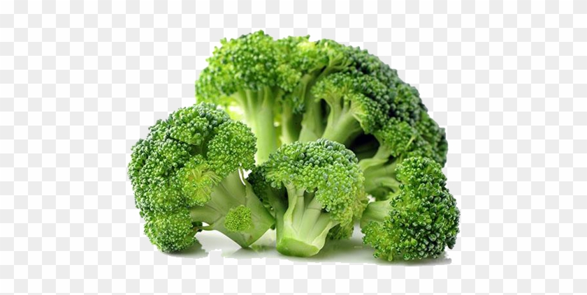 Broccoli Transparent Png Image - Broccoli Png #331509