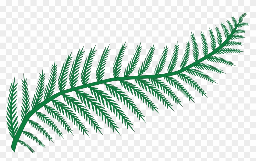 Free Clipart Of A Fern - Clip Art Fern #331534