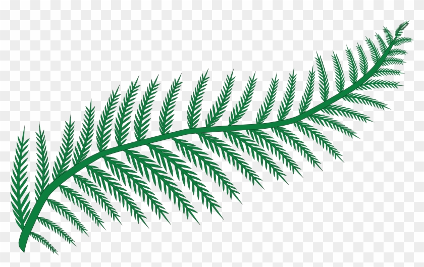 Free Clipart Of A Fern - Clip Art Fern #331534