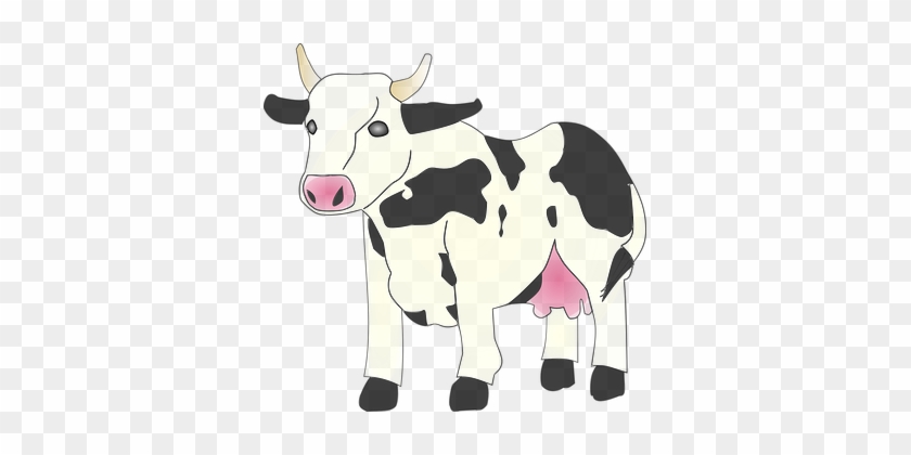 Cow Animal Mammal Black White Patterns Far - Cow Clipart #331699