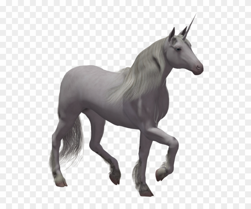 Unicorn No Background Png #331913