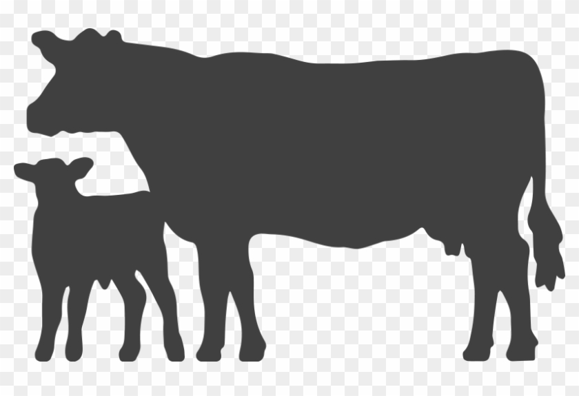 Angus Media - Cow And Calf Silhouette #331926