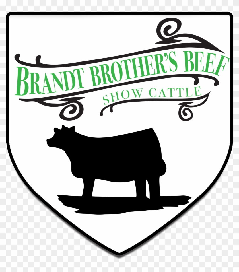 Brandt Brothers Beef & Show Cattle - Cattle #332157