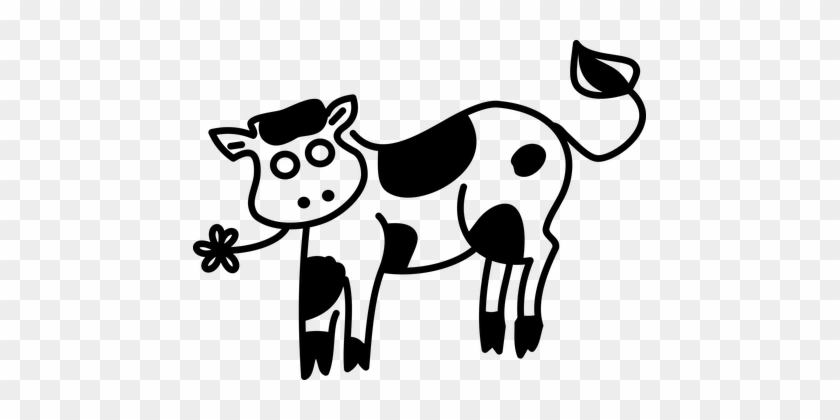Cow, Calf, No Background, Animal, Fauna - Ffjust A Girl Who Loves Cows - Cute Farm Cow Girls #332311