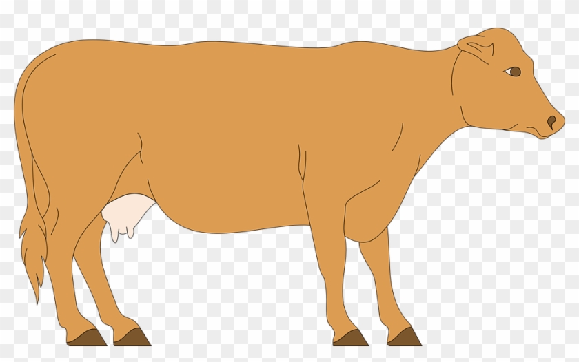 Brown Cow Cartoon Png #332347