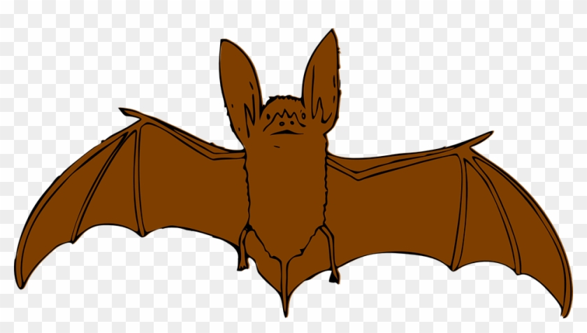 Brown Bat Clipart - Little Brown Bat Clip Art #332386