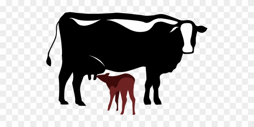 Cow Calf Symbol Animal Cow Cow Cow Cow Cow - Simbolo Vaca #332440