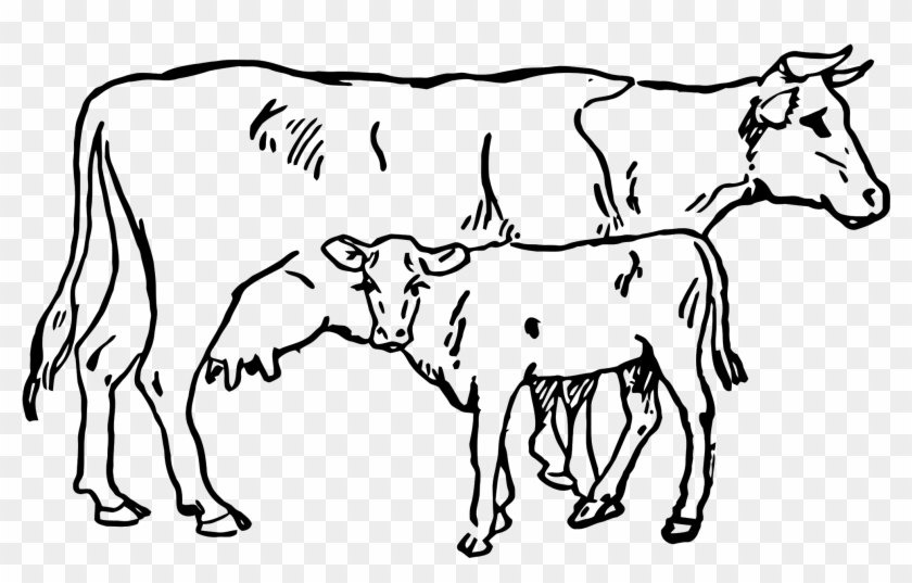 Open - Cow Clipart Black And White #332441