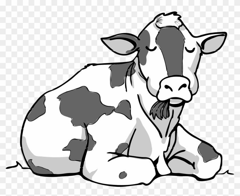 312 × 240 Pixels - Cow Vector #332614