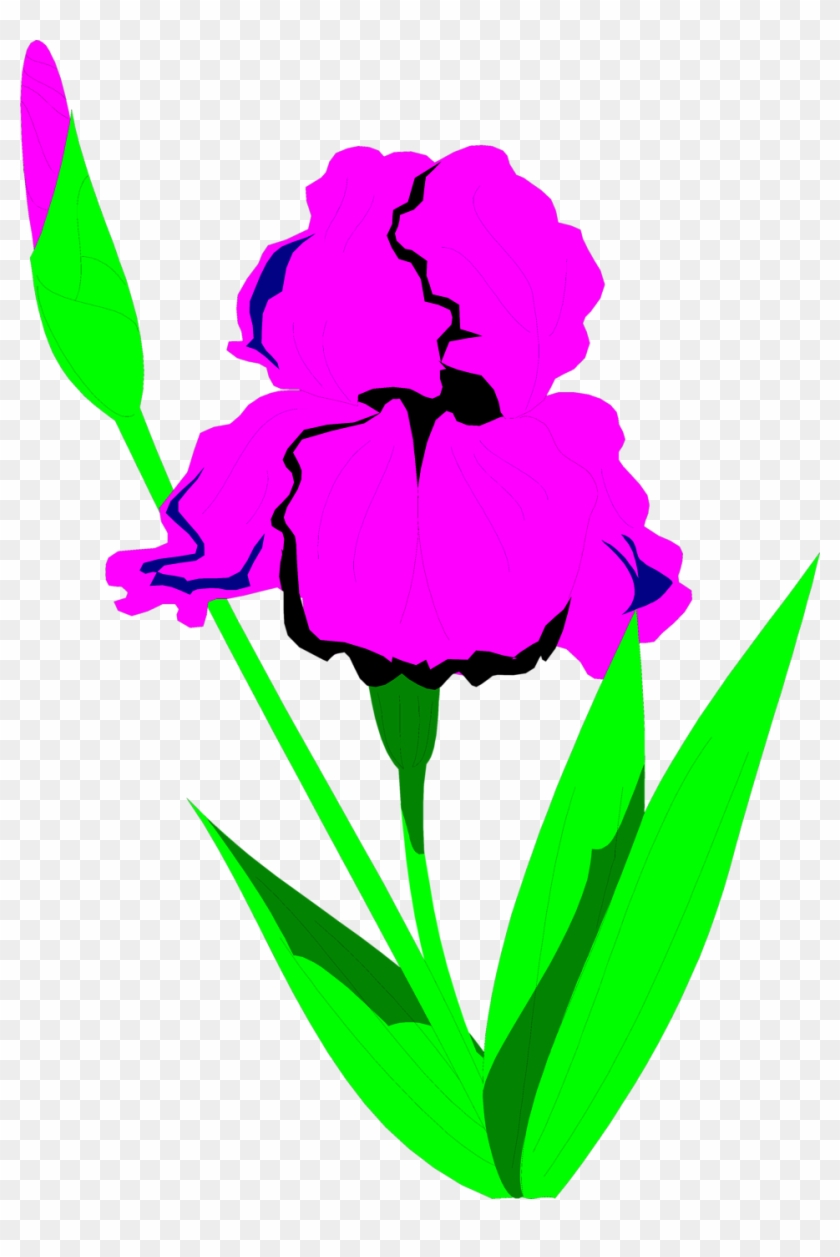 Illustration Of A Purple Iris Flower - Clip Art #332647