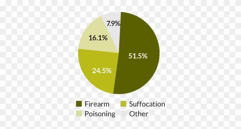 Suicide Method - Suicide Deaths By Method 2016 #332744