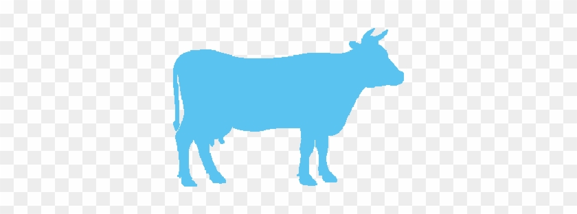 Only A2a2 Cows - Beef Silhouette #332763