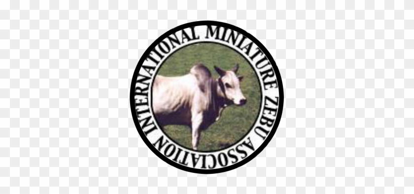 International Miniature Zebu Association - Realiser Une Horloge En Papier #333077