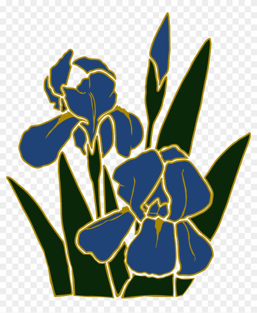 Flower Garden Iris Plant Png Image - Iris Vector #333111
