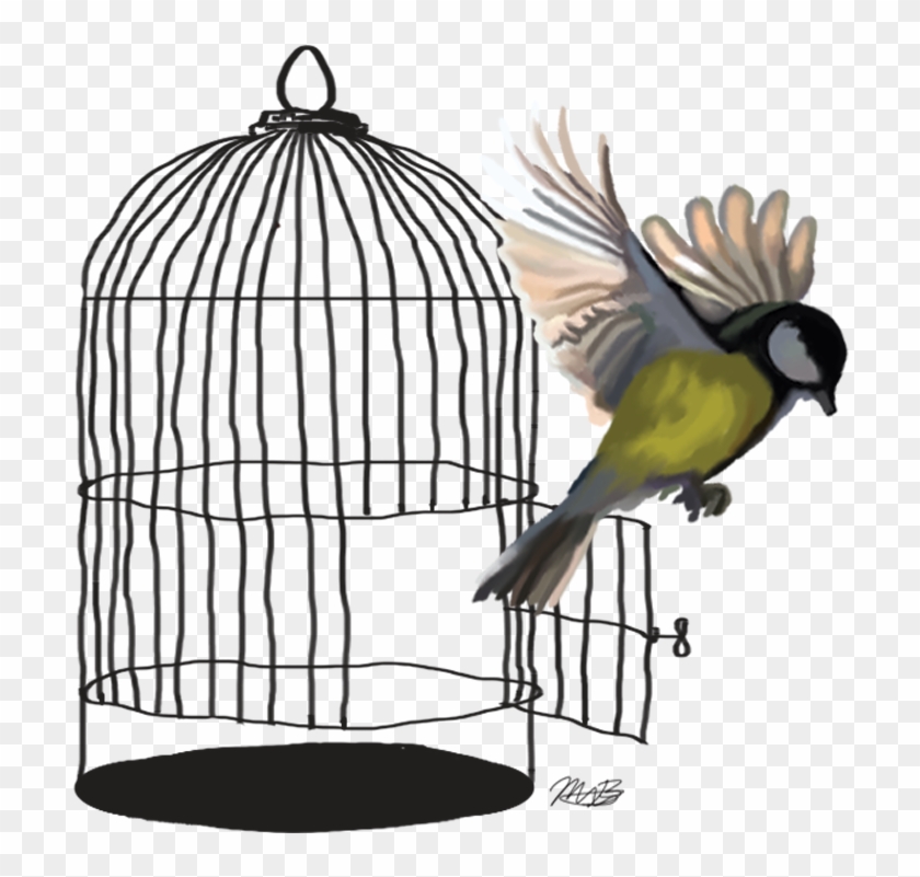 Lovebird Budgerigar Parrot Cage - Lovebird Budgerigar Parrot Cage #333437