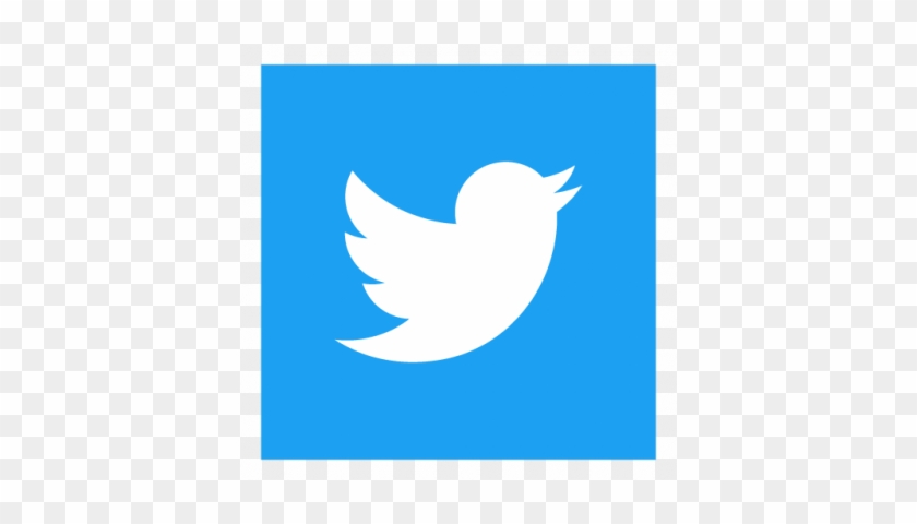 Twitter Square Logo Png #333677