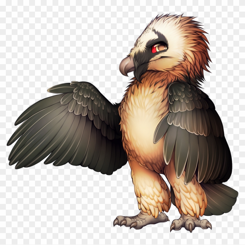27 Best Bearded Vultures Images On Vulture Animal - Bearded Vulture Base #334025