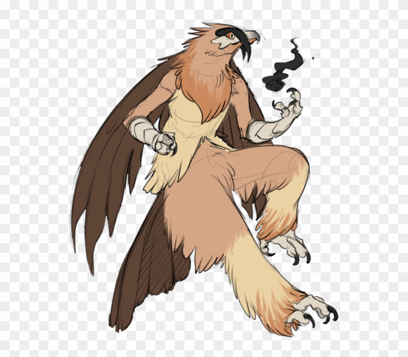 Pokemon Variants- Based On The Bearded Vulture Aka - Secretarybird Blaziken #334037