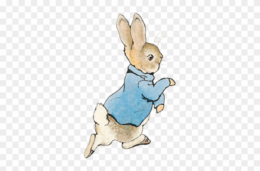 2017 Peter Rabbit - Tale Of Peter Rabbit #334124