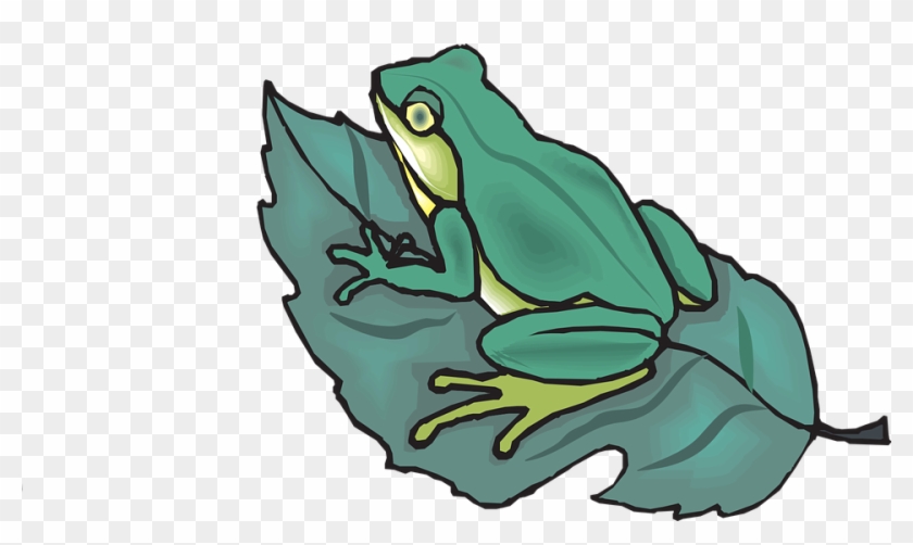 Toad Art 7, Buy Clip Art - Frog Is On The Leaf #334169