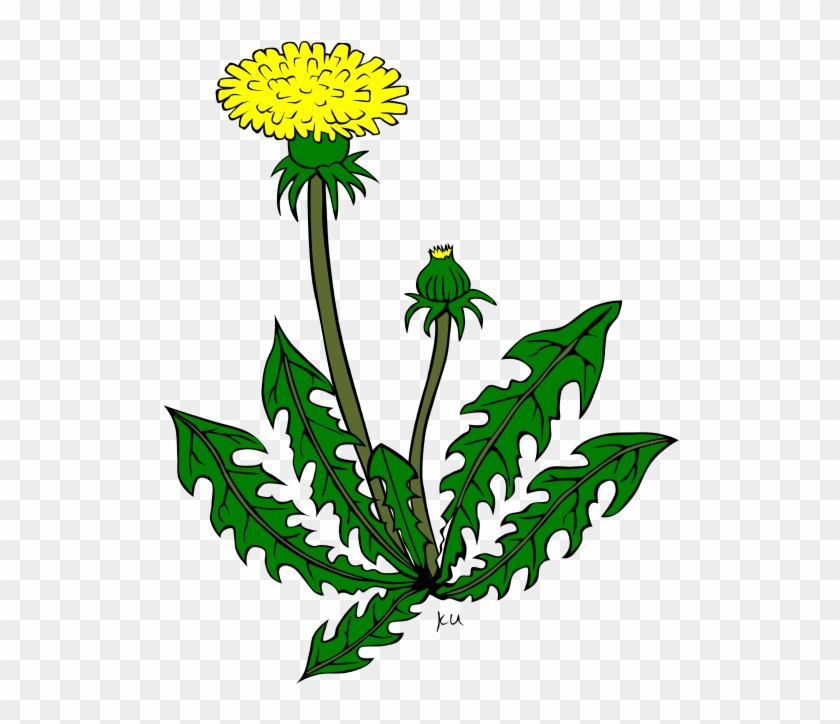 Dandelion Control Clip Art Cliparts - Dandelion Clip Art #334212