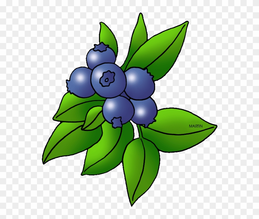 Blueberry Blackberry Fruit Clip Art - Blueberry Blackberry Fruit Clip Art #334308