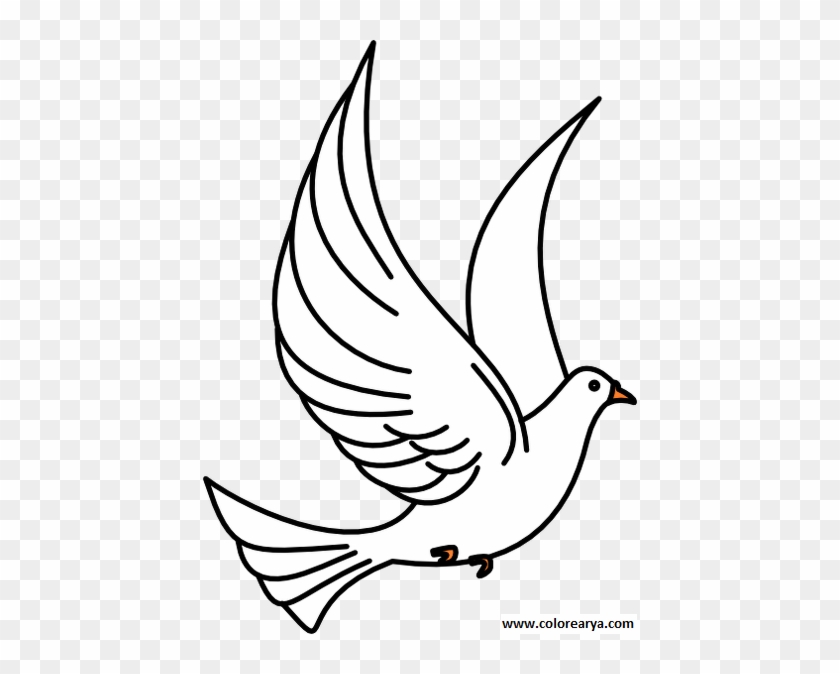 Ucan Kus Resmi Boyama Drawing Of Pigeon Flying Free