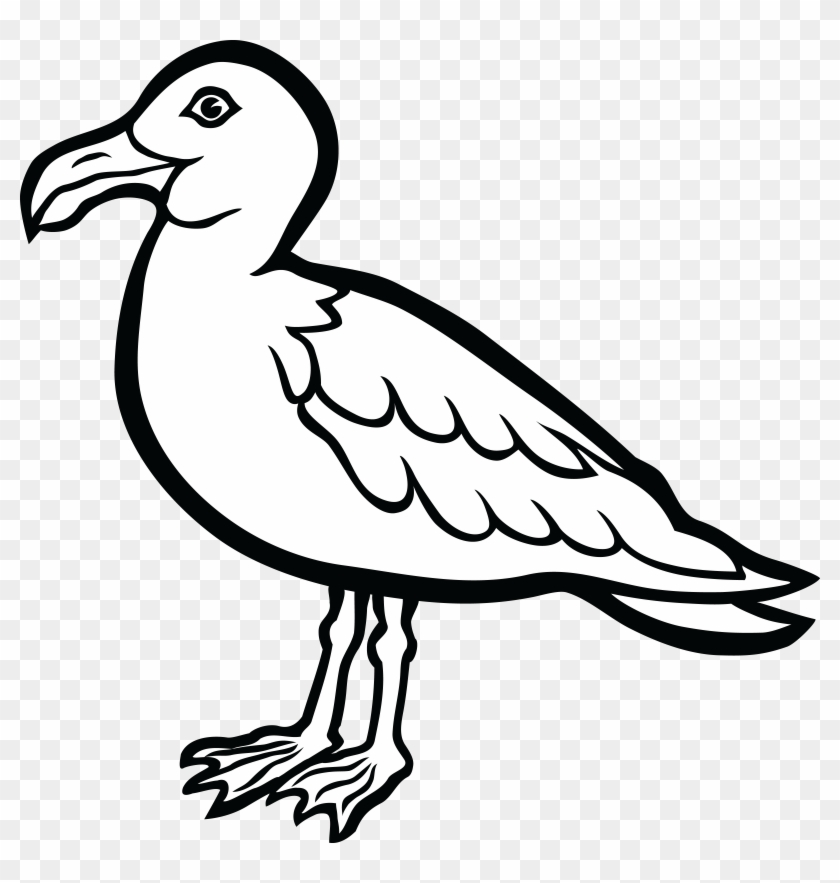 Free Clipart Of A Seagull Bird - Black And White Seagull #334419