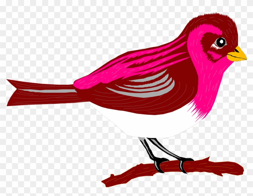 Finch Clipart Bird Branch - Transparent Pic Cartoon Bird #334434