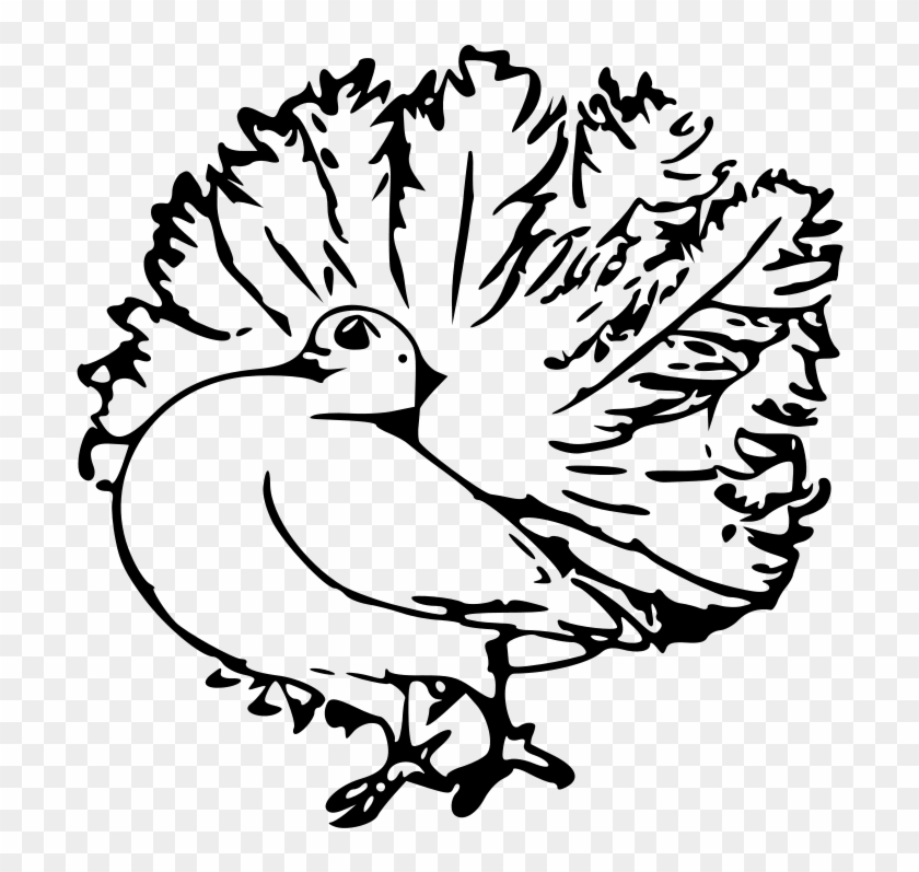 Black And White Clip Art Feathered Animals #334451