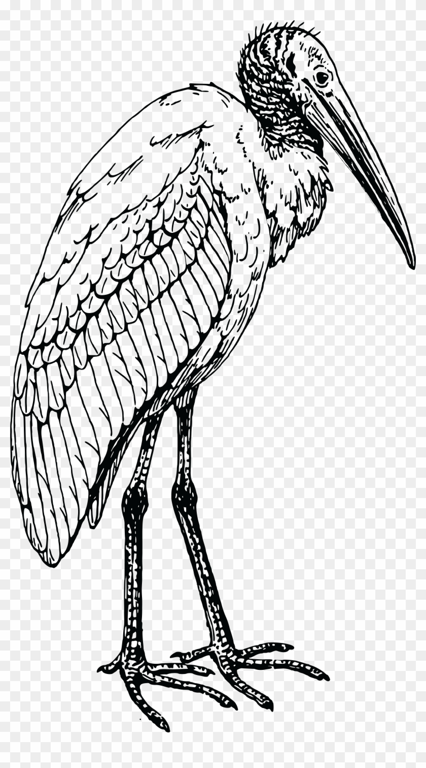 12,386 Stork Drawing Images, Stock Photos & Vectors | Shutterstock