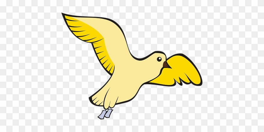 Bird, Pigeon, Flight, Sky, Yellow, Adobe - Bird #334506