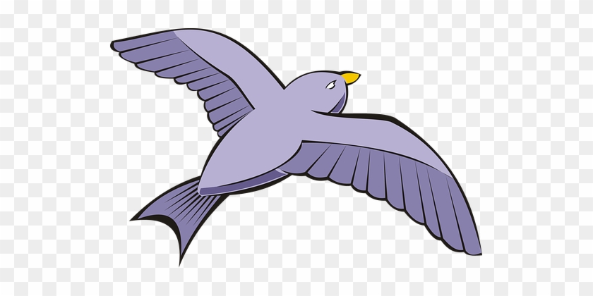 Bird, Pigeon, Flight, Sky, Violet, Adobe - Adobe Systems #334533
