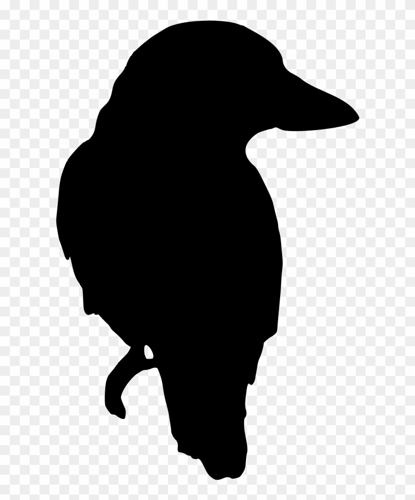 Kookaburra Silhouette - Kookaburra Clipart Black #334575