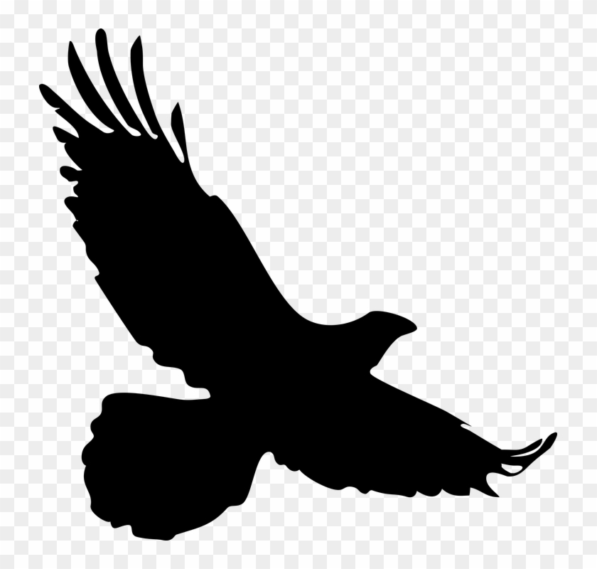 Bird, Wild, Silhouette, Nature, Clip, Art, Clip Art - Silhouette Of A Falcon #334581